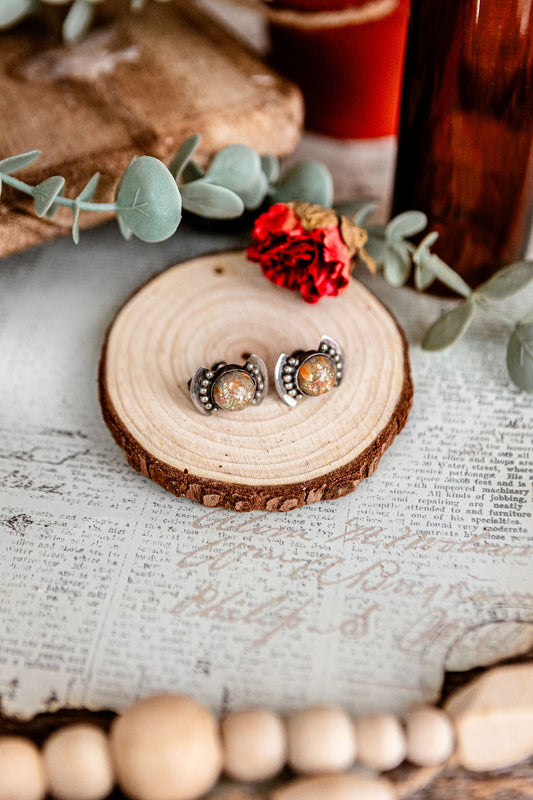 Screwback Silver Round Earrings