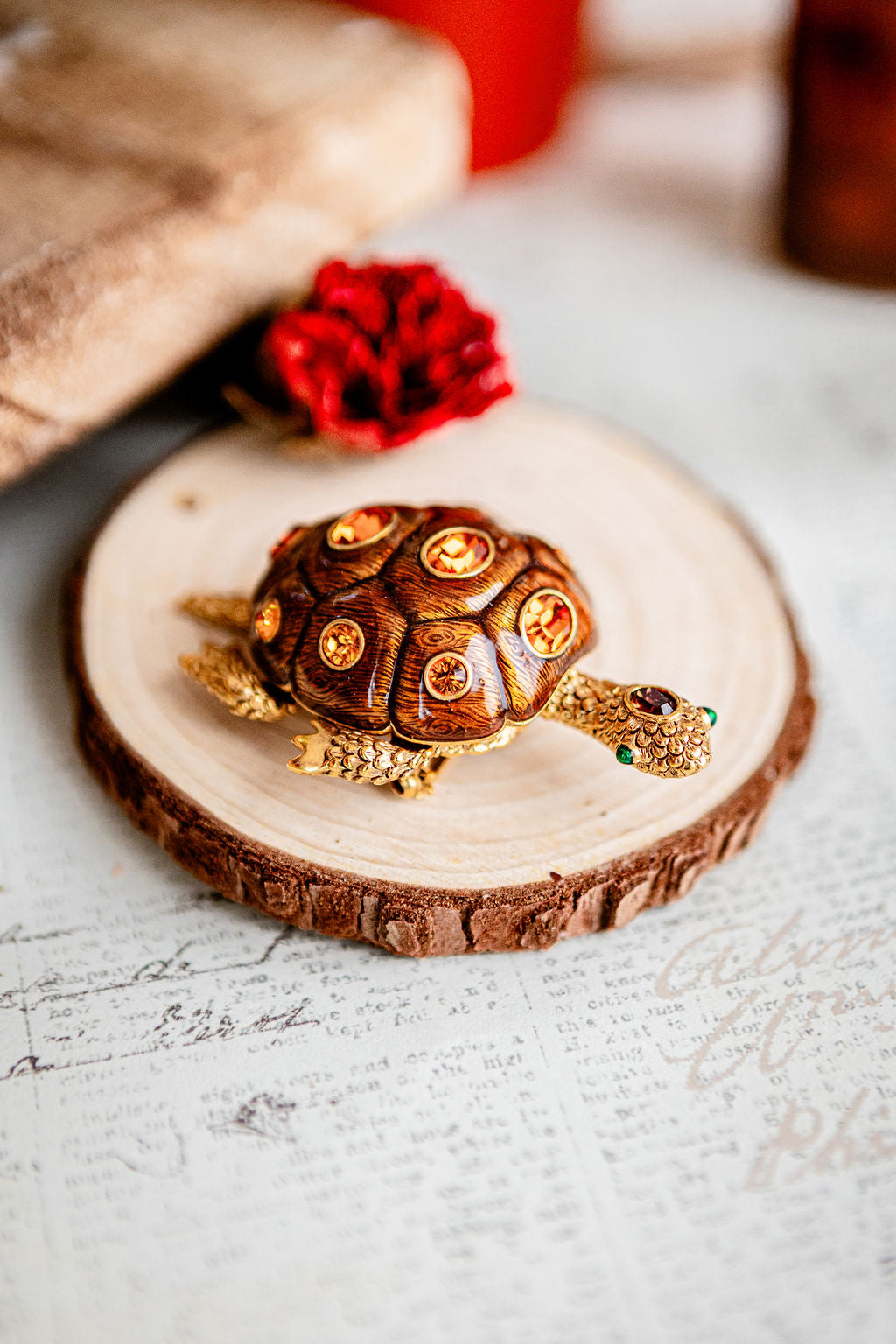 Turtle Broach